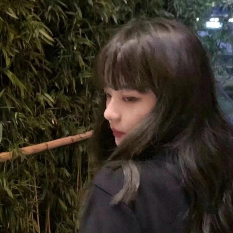 上海（雪代缘所在的黑帮基地） - 动漫新番免费在线观看 - 小程序直播